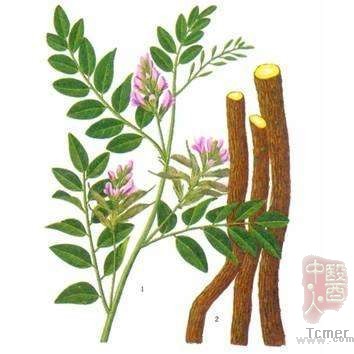 甘草