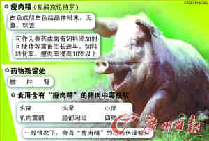 误吃“瘦肉精猪”多喝水