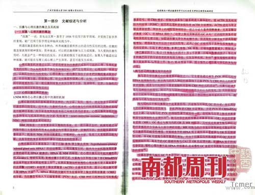 举报者从组织途径转到网上举报