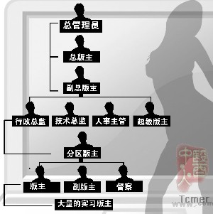 黄色网站高管包括医生老总研究生会员332万人
