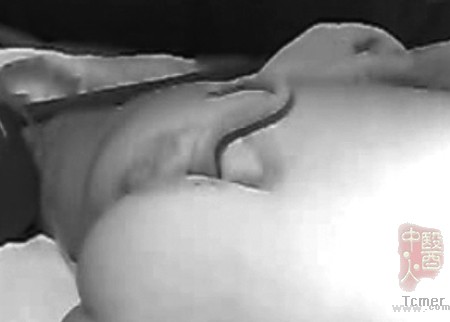 ŮӤβ׵����ʮ��������֯ҽ����ϵ��������