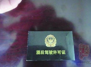 酒驾许可证亮瞎眼 网友:醉酒雷人不浅(组图)