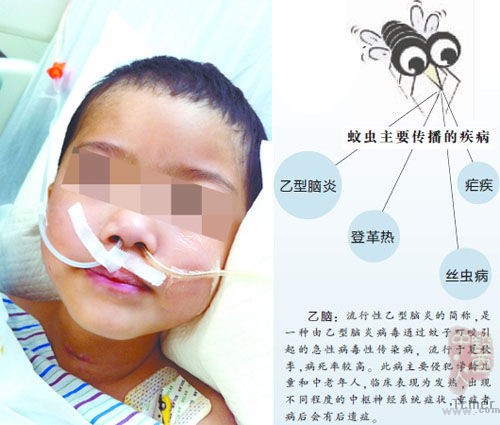 仍处于昏迷状态的小冰冰 记者吴珊摄 仍处于昏迷状态的小冰冰 记者吴珊摄