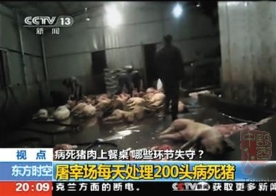 横跨11省区病死猪肉案告破 1千余吨问题肉被扣(图) 横跨11省区病死猪肉案告破 1千余吨问题肉被扣(图)