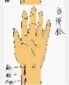 长沙名中医回应网络挑战 把脉验孕十次全中