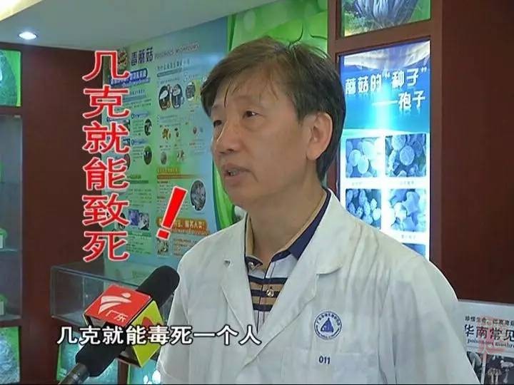 广州部分景区现毒蘑菇几克就能致死 街坊不以为然