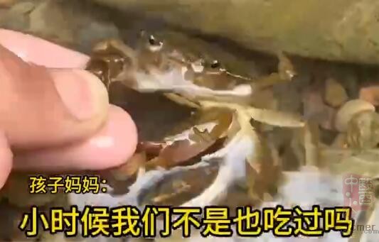 QQ截图20250217101447