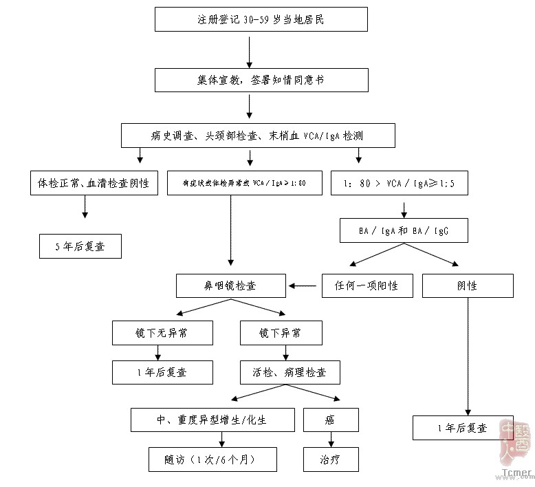 鼻咽癌筛查流程图