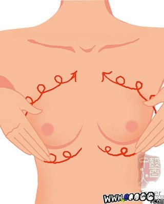 六方案让你的乳房二次“发育” 六方案让你的乳房二次“发育”