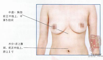 乳房 乳房