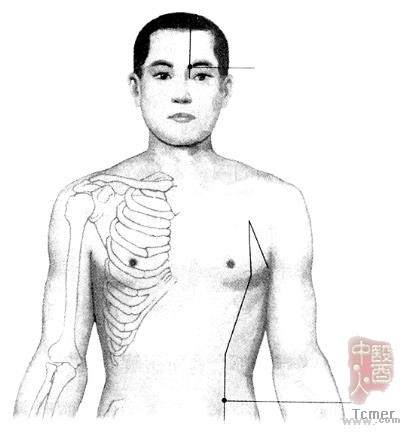 攒竹穴 大横穴 攒竹穴 大横穴