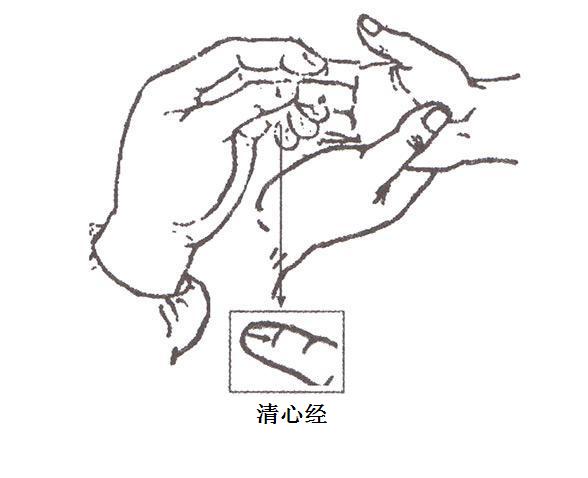 高级小儿推拿教程:小儿日常推拿保健之清心经 高级小儿推拿教程:小儿日常推拿保健之清心经