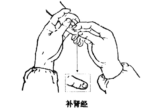 高级小儿推拿教程:小儿日常推拿保健之补肾经