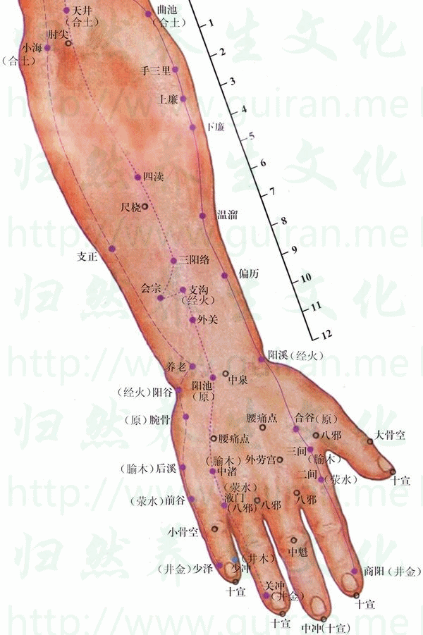 ����-���ͼ