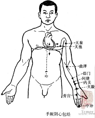 手厥阴心包经