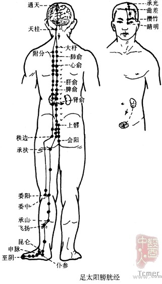足太阳膀胱经