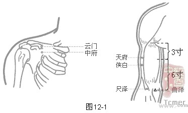 手太阴肺经穴