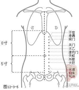 足阳明胃经穴
