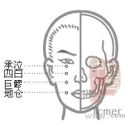 足阳明胃经穴