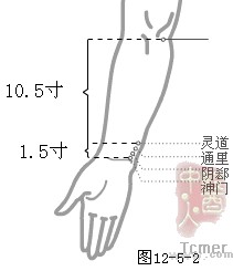 手少阴心经经穴