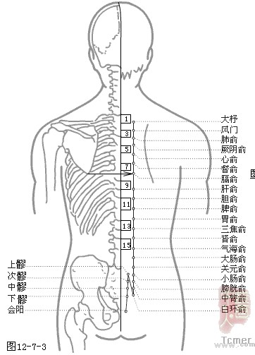 足太阴膀胱经穴