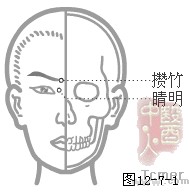 足太阴膀胱经穴