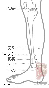 足少阴肾经穴