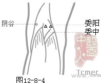 足少阴肾经穴