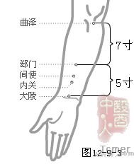 手厥阴心包经穴