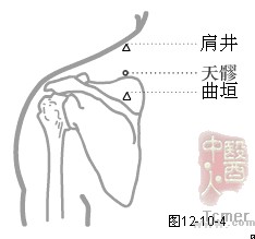 手少阳三焦经穴