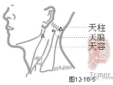 手少阳三焦经穴
