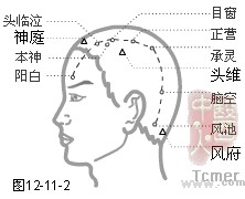 足少阳胆经穴