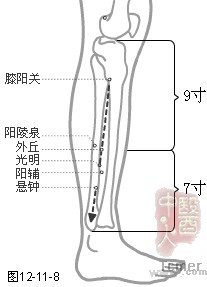 足少阳胆经穴
